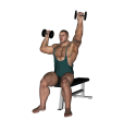 Shoulder Press - Seated Dumbbell Alternate